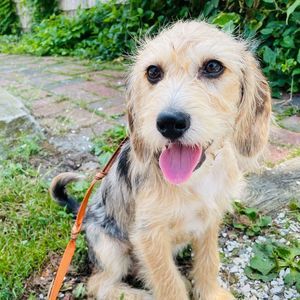 Meet your Posher, Kymberly